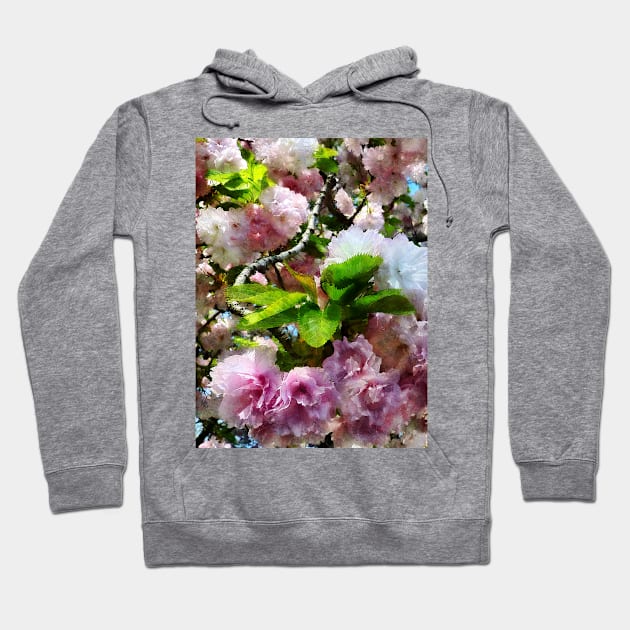 Spring - Double Cherry Blossoms Hoodie by SusanSavad